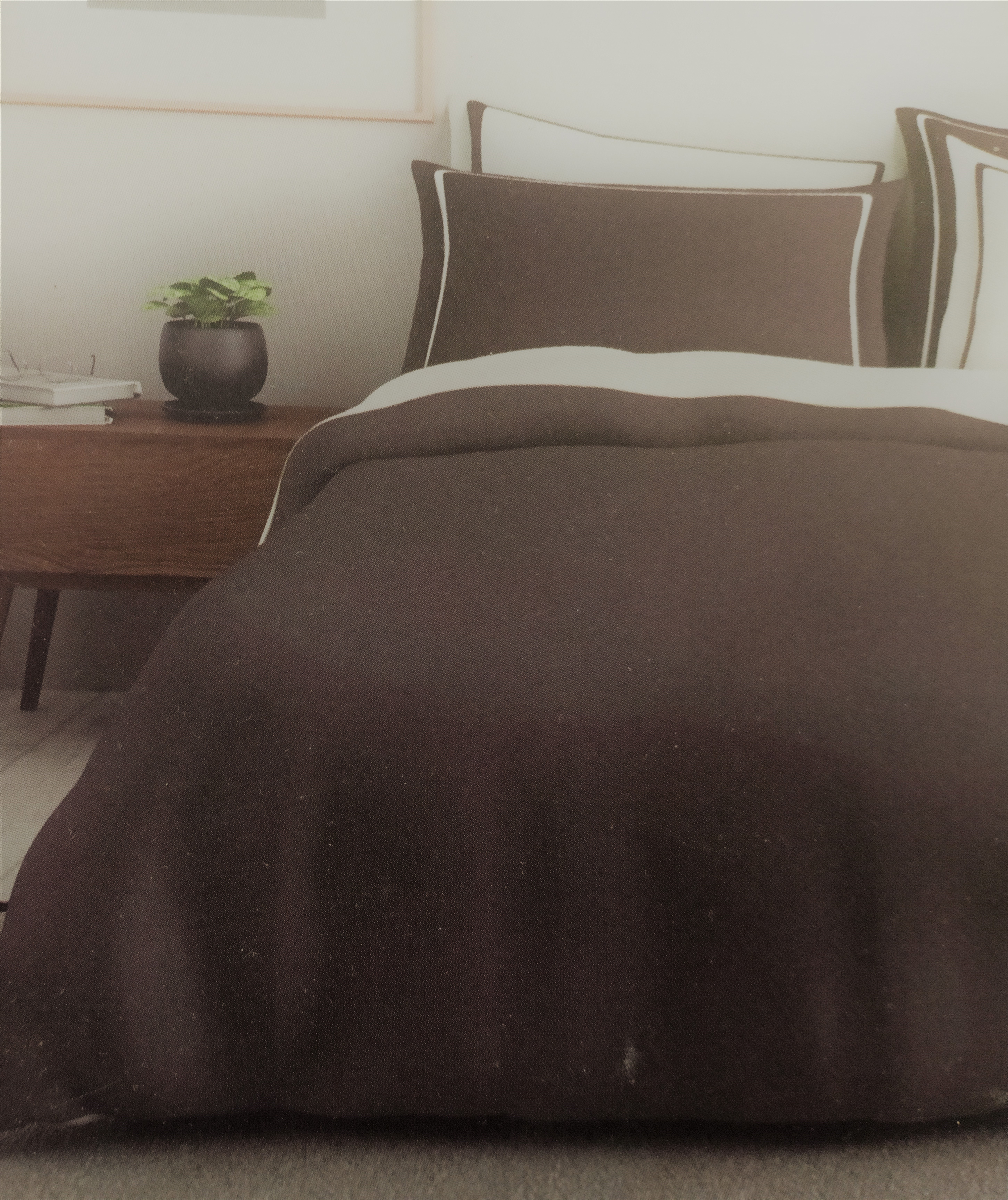 HYGRO Large Solid Bedsheet by SPACES ACTIVE